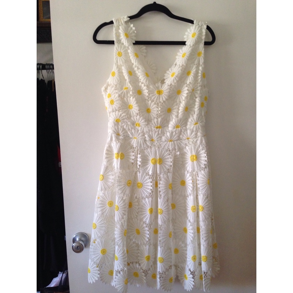 Daisy lace dress